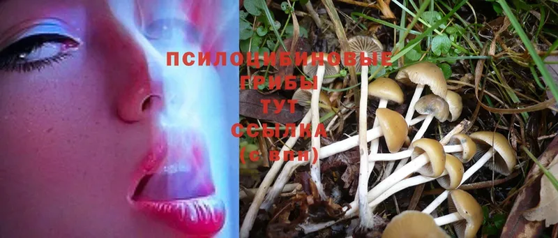 Псилоцибиновые грибы Magic Shrooms  OMG зеркало  Уфа 